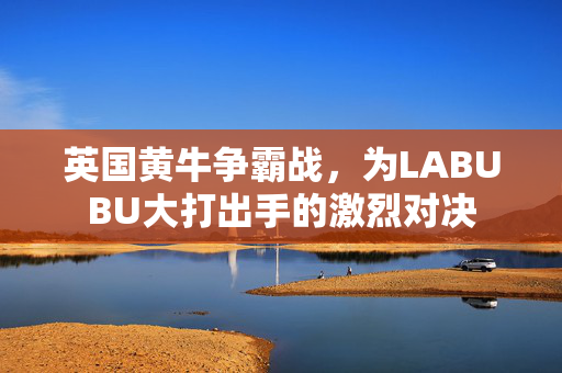 英国黄牛争霸战，为LABUBU大打出手的激烈对决