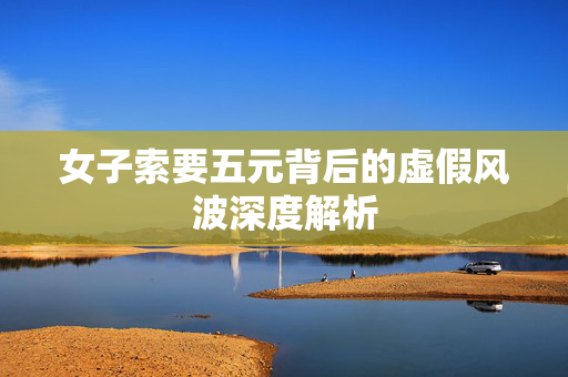 女子索要五元背后的虚假风波深度解析