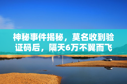 神秘事件揭秘，莫名收到验证码后，隔天6万不翼而飞