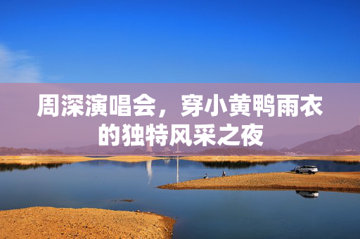 周深演唱会，穿小黄鸭雨衣的独特风采之夜