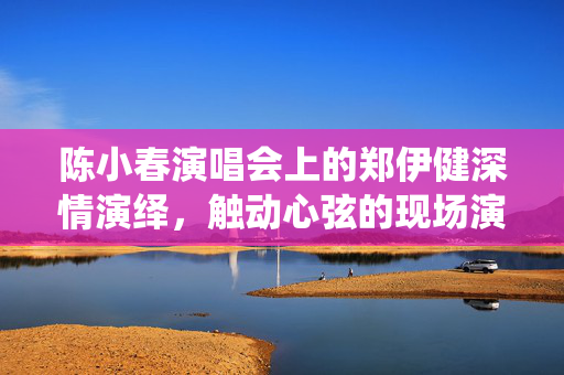 陈小春演唱会上的郑伊健深情演绎，触动心弦的现场演绎