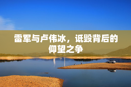 雷军与卢伟冰，诋毁背后的仰望之争