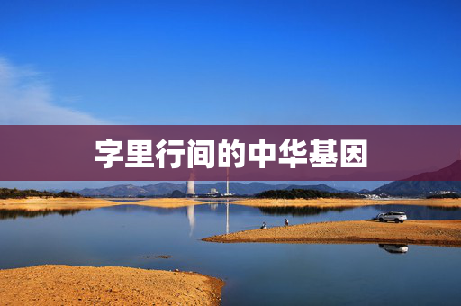 字里行间的中华基因