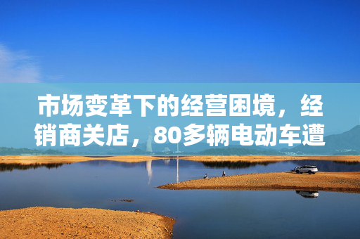 市场变革下的经营困境，经销商关店，80多辆电动车遭远程锁死