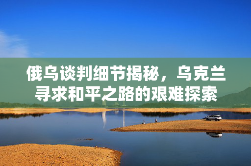 俄乌谈判细节揭秘，乌克兰寻求和平之路的艰难探索