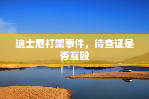 迪士尼打架事件，待查证是否互殴