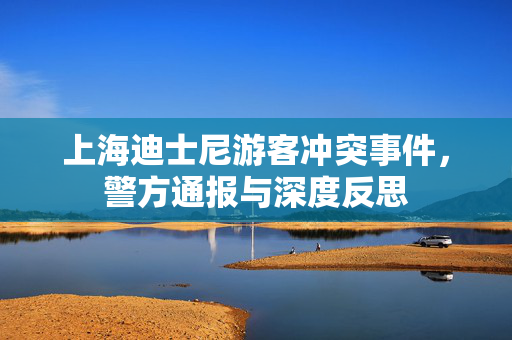 上海迪士尼游客冲突事件，警方通报与深度反思