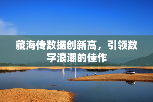 藏海传数据创新高，引领数字浪潮的佳作