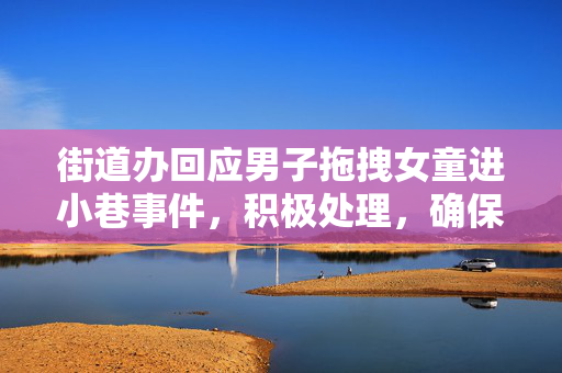 街道办回应男子拖拽女童进小巷事件，积极处理，确保安全与公正