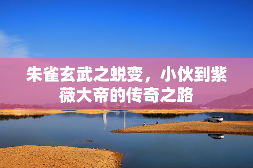 朱雀玄武之蜕变，小伙到紫薇大帝的传奇之路