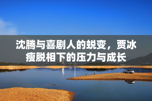 沈腾与喜剧人的蜕变，贾冰瘦脱相下的压力与成长