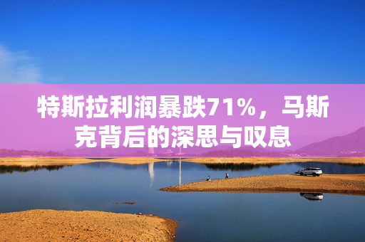 特斯拉利润暴跌71%，马斯克背后的深思与叹息