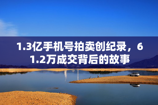 1.3亿手机号拍卖创纪录，61.2万成交背后的故事