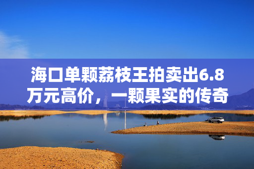 海口单颗荔枝王拍卖出6.8万元高价，一颗果实的传奇与未来展望