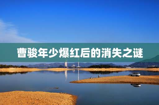 曹骏年少爆红后的消失之谜