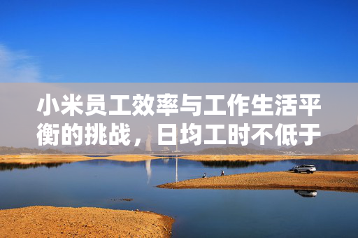 小米员工效率与工作生活平衡的挑战，日均工时不低于11.5小时
