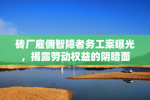 砖厂雇佣智障者务工案曝光，揭露劳动权益的阴暗面