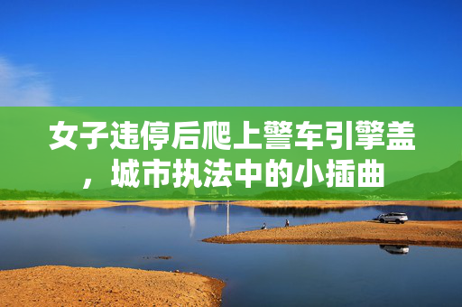 女子违停后爬上警车引擎盖，城市执法中的小插曲