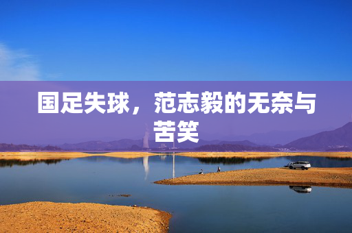 国足失球，范志毅的无奈与苦笑