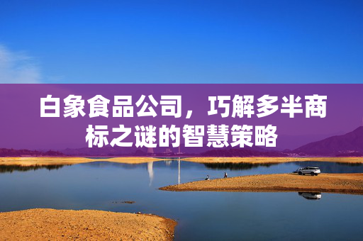 白象食品公司，巧解多半商标之谜的智慧策略