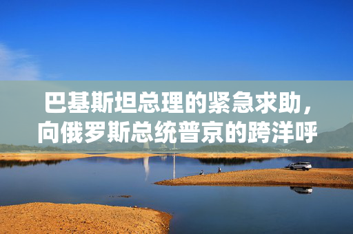 巴基斯坦总理的紧急求助，向俄罗斯总统普京的跨洋呼声