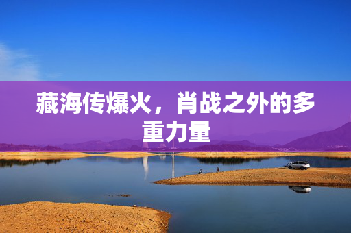 藏海传爆火，肖战之外的多重力量