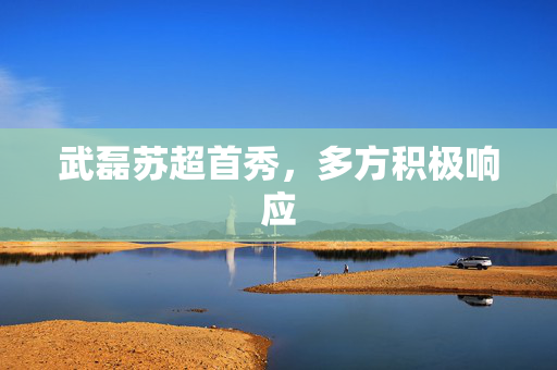 武磊苏超首秀，多方积极响应