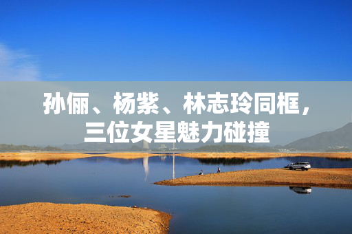 孙俪、杨紫、林志玲同框，三位女星魅力碰撞