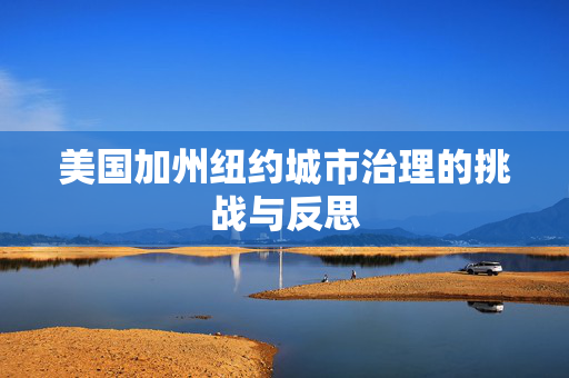美国加州纽约城市治理的挑战与反思