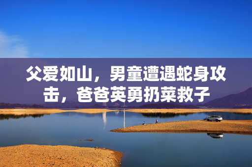 父爱如山，男童遭遇蛇身攻击，爸爸英勇扔菜救子
