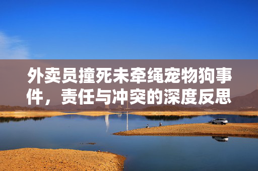 外卖员撞死未牵绳宠物狗事件，责任与冲突的深度反思