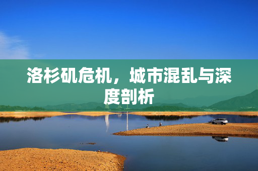 洛杉矶危机，城市混乱与深度剖析