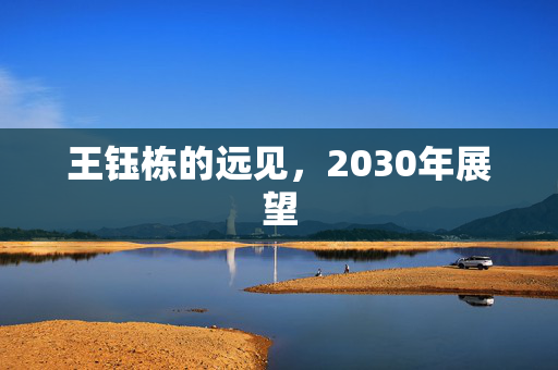 王钰栋的远见，2030年展望