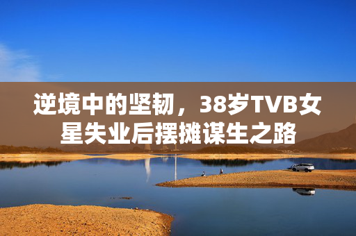 逆境中的坚韧，38岁TVB女星失业后摆摊谋生之路