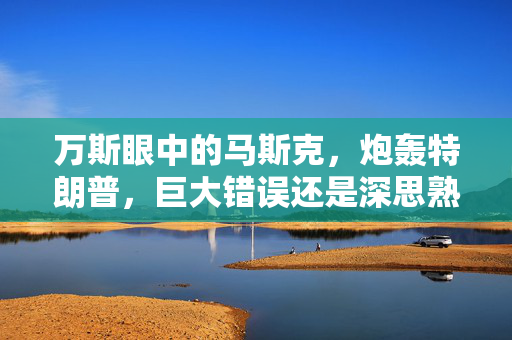 万斯眼中的马斯克，炮轰特朗普，巨大错误还是深思熟虑的决策？