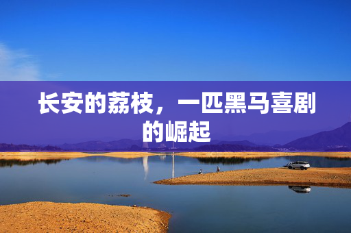 长安的荔枝，一匹黑马喜剧的崛起