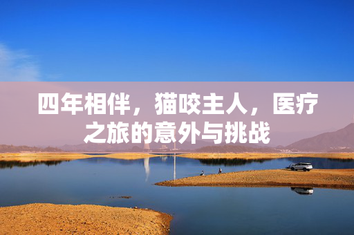 四年相伴，猫咬主人，医疗之旅的意外与挑战