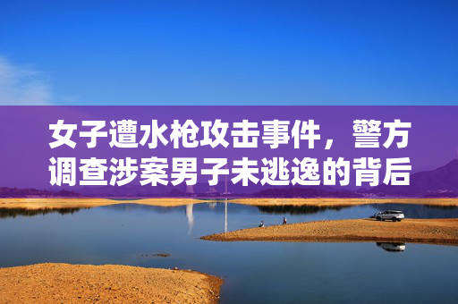 女子遭水枪攻击事件，警方调查涉案男子未逃逸的背后思考