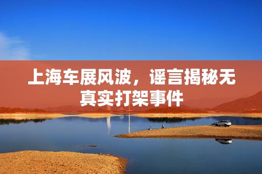 上海车展风波，谣言揭秘无真实打架事件
