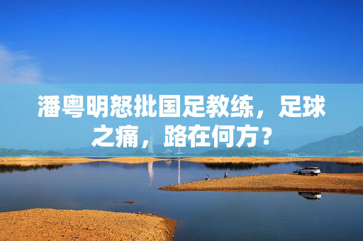 潘粤明怒批国足教练，足球之痛，路在何方？