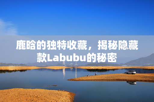 鹿晗的独特收藏，揭秘隐藏款Labubu的秘密