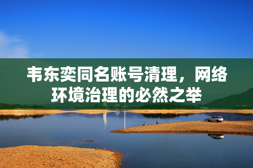 韦东奕同名账号清理，网络环境治理的必然之举