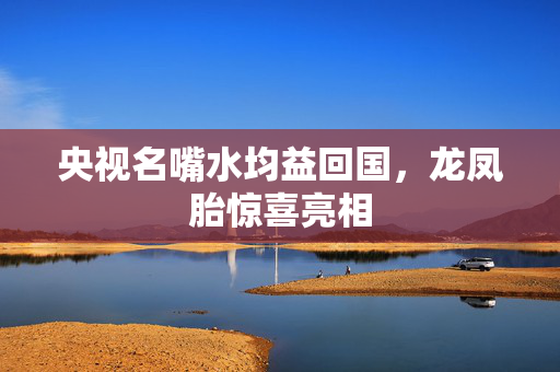 央视名嘴水均益回国，龙凤胎惊喜亮相