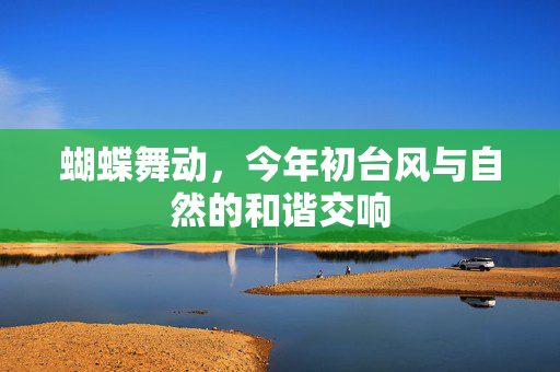 蝴蝶舞动，今年初台风与自然的和谐交响