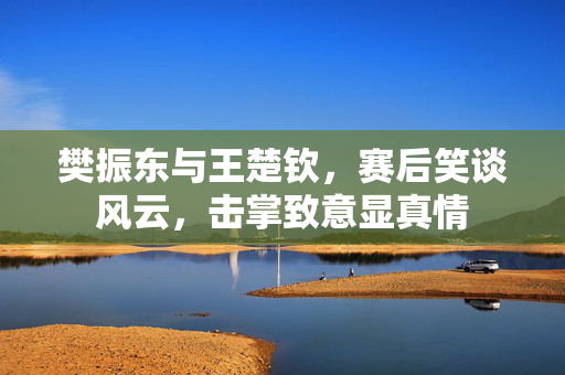 樊振东与王楚钦，赛后笑谈风云，击掌致意显真情