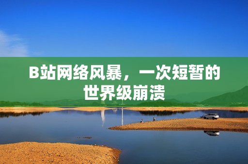 B站网络风暴，一次短暂的世界级崩溃