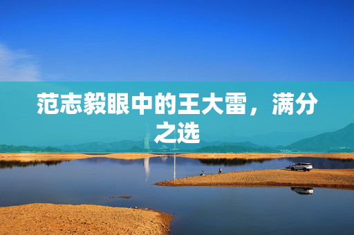范志毅眼中的王大雷，满分之选