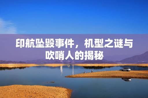 印航坠毁事件，机型之谜与吹哨人的揭秘
