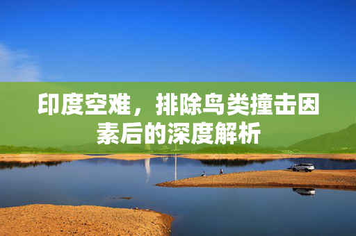 印度空难，排除鸟类撞击因素后的深度解析