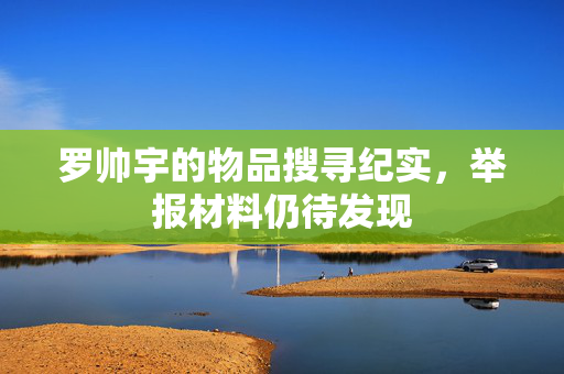 罗帅宇的物品搜寻纪实，举报材料仍待发现